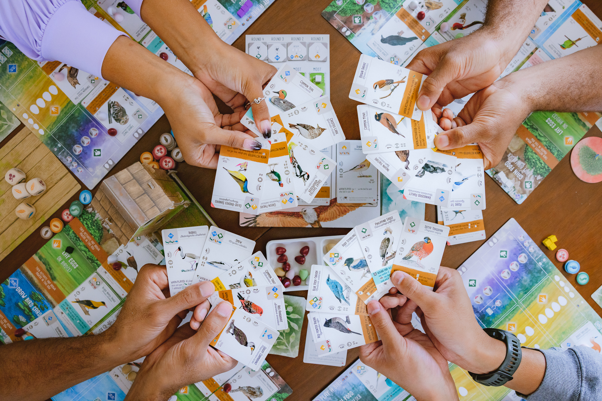 Wingspan Asia Hands in showing people holding wingspan cards for the board game wingspan asia